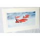 Limited Edition Red Arrows Print 'Gypo Section'